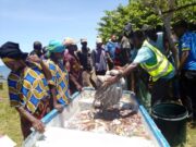 WAVUVI WA PWEZA MKINGA WACHEKELEA KUVUA TANI 2.5 KWA SIKU, MWAMBAO,NORAD WAAHIDI NEEMA ZAIDI.