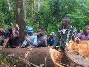 WANANCHI KIBOSHO WAIOMBA SERIKALI KUWAJENGEA VIVUKO VYA KUDUMU