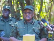 BODI YA TAWA KUJA NA MIKAKATI KABAMBE YA KUIBORESHA HIFADHI YA PANDE