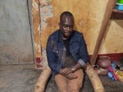 MENEJA TRA KIBONDO AKAMATWA NA MENO YA TEMBO