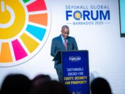 SEforALL KUIMARISHA USHIRIKIANO UPATIKANAJI NISHATI ENDELEVU