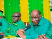 Demokrasia sio ruhusa ya kutukana wengine-Wasira