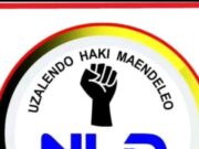 Watiania 1616 wajitokeza NLD Ubunge na Udiwani