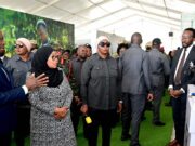 Rais Dk.Samia aipongeza TADB kwa utendaji mzuri