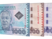 Dk. Samia: TASAF umeondoa wengi katika umaskini, nitauendeleza