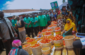 Dk. Mwinyi aahidi mikopo, mafunzo kwa wajasiriamali wa utalii Zanzibar