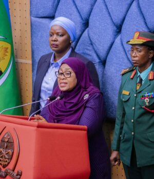 Serikali yaunda Tume maalumu kuchunguza ghasia za Oktoba 29 — Rais Samia