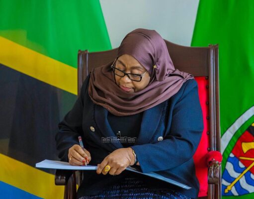 Mohamed Othman Chande kuongoza Tume ya Uchanguzi vurugu za Oktoba 29