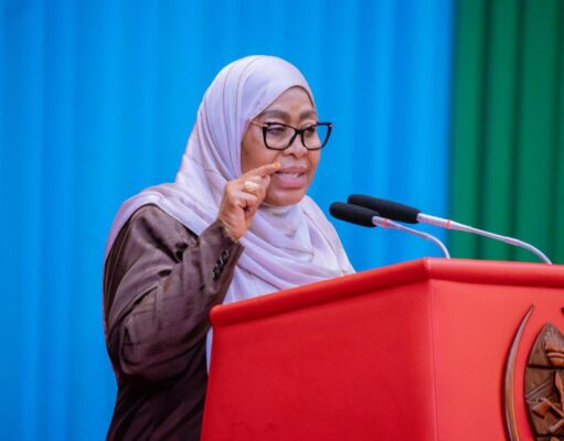 Waliofanya fujo Oktoba 29 walitaka kuiangusha serikali-Rais Dk.Samia