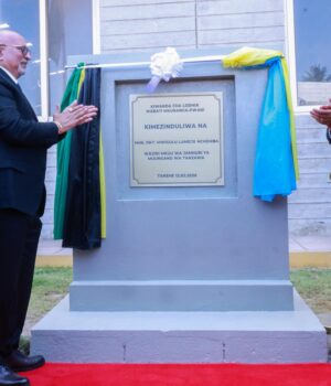 Dk.Mwigulu ataka mikakati ya kulinda viwanda vya ndani