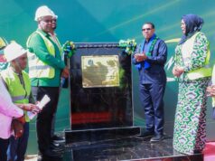 Dk. Mwigulu aweka jiwe la msingi mradi wa kupoza umeme Mkata