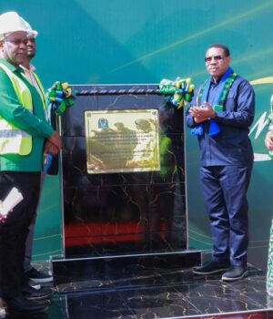 Dk. Mwigulu aweka jiwe la msingi mradi wa kupoza umeme Mkata