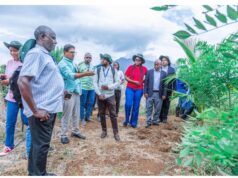 Euro laki 515 kuendeleza kilimo ikolojia