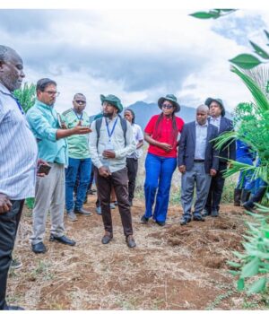 Euro laki 515 kuendeleza kilimo ikolojia