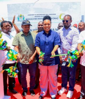 Mradi wa kufunga mifumo ya umeme jua maeneo ya visiwa kwa bei ruzuku wazinduliwa